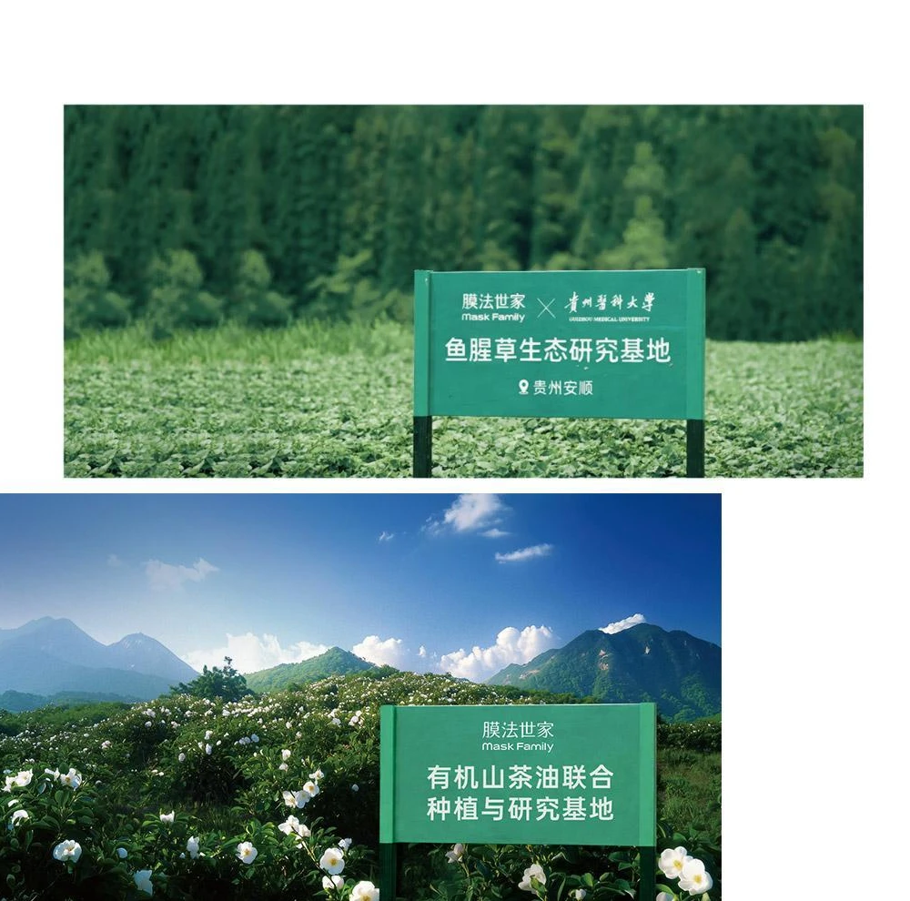 中国植物原料探索:油茶籽与鱼腥草产地